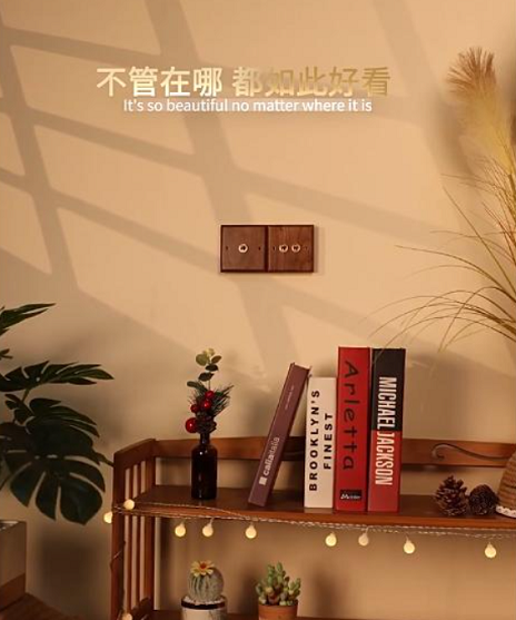 1764838833183646.png 胡桃木.png