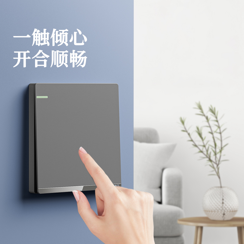高级感灰色开关.jpg